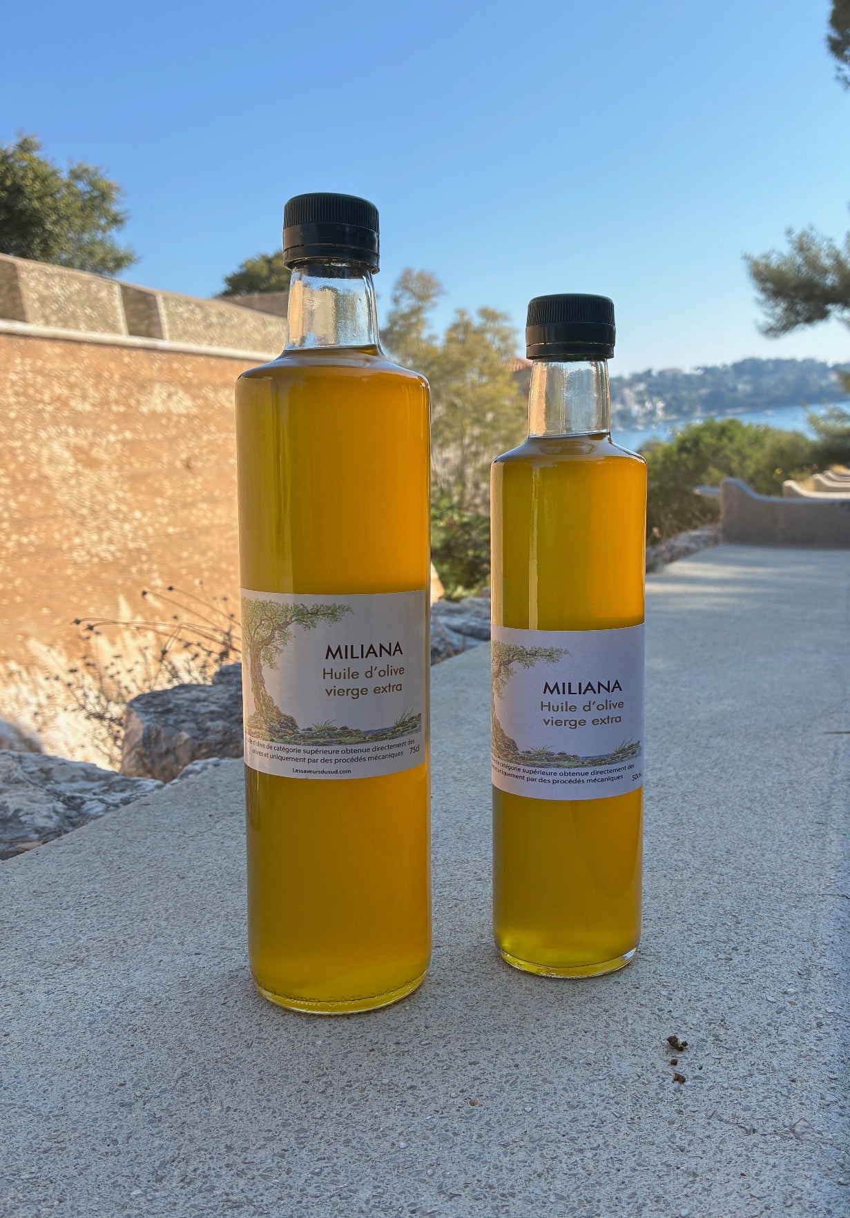 MILIANA "Classique"