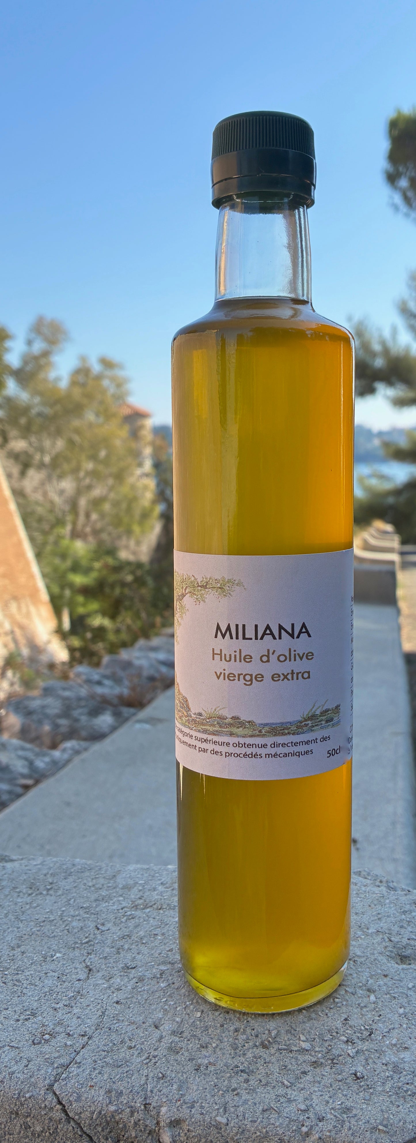 MILIANA "Classique"